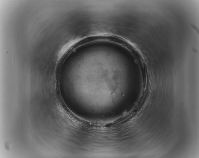 X0000100981319200807011434