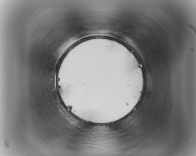 X0000100981320200807011434