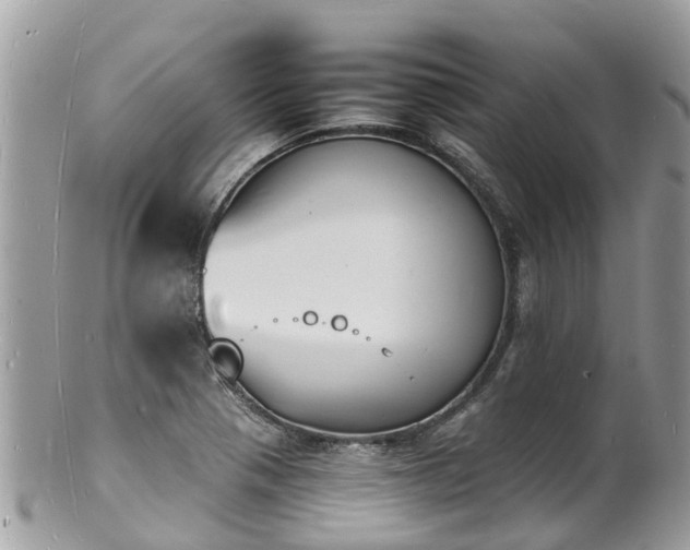 X0000100981321200807011434