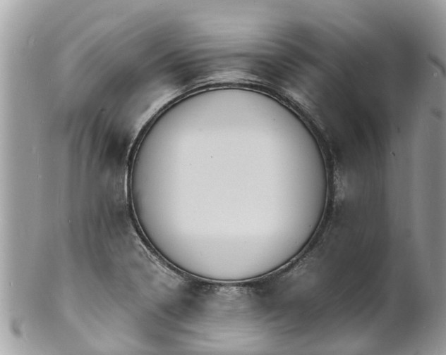 X0000100981322200807011434