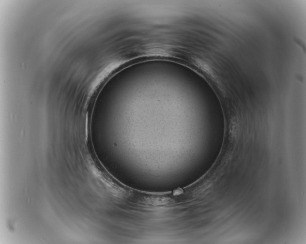 X0000100981323200807011434