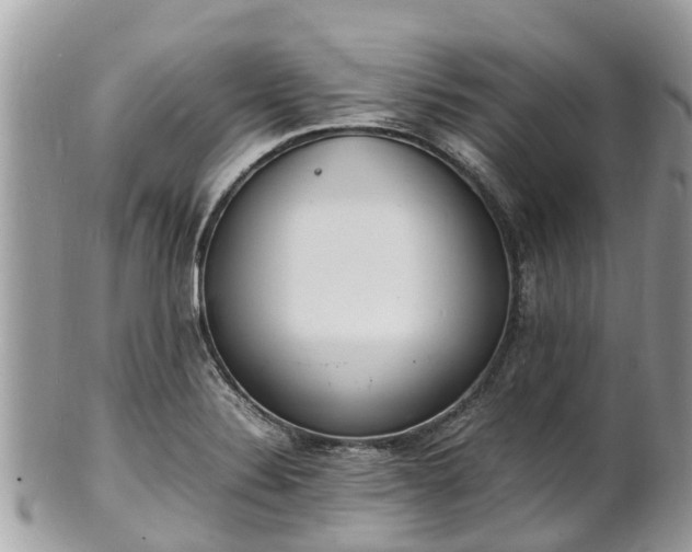 X0000100981324200807011434