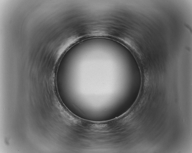 X0000100981325200807011434