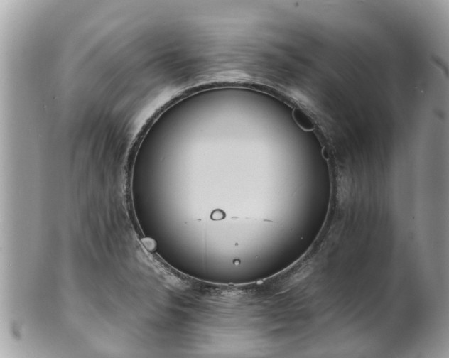 X0000100981326200807011434