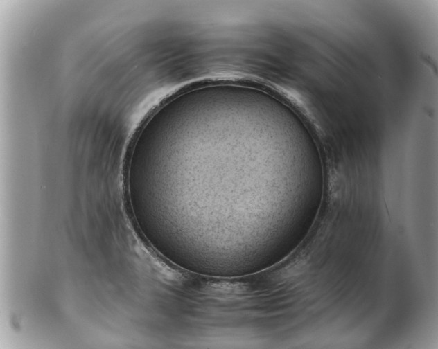 X0000100981327200807011434