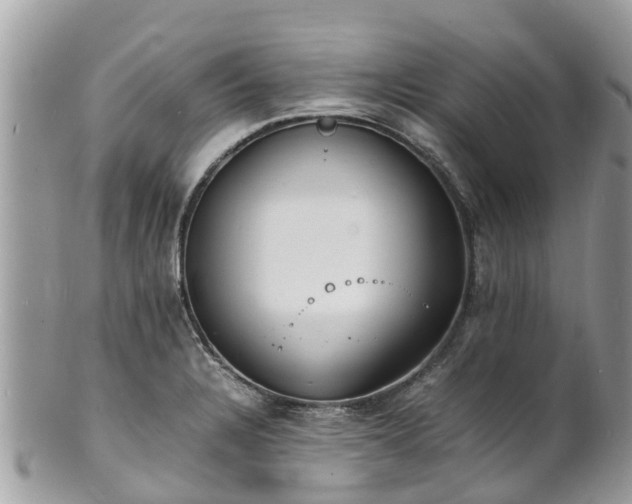 X0000100981328200807011434