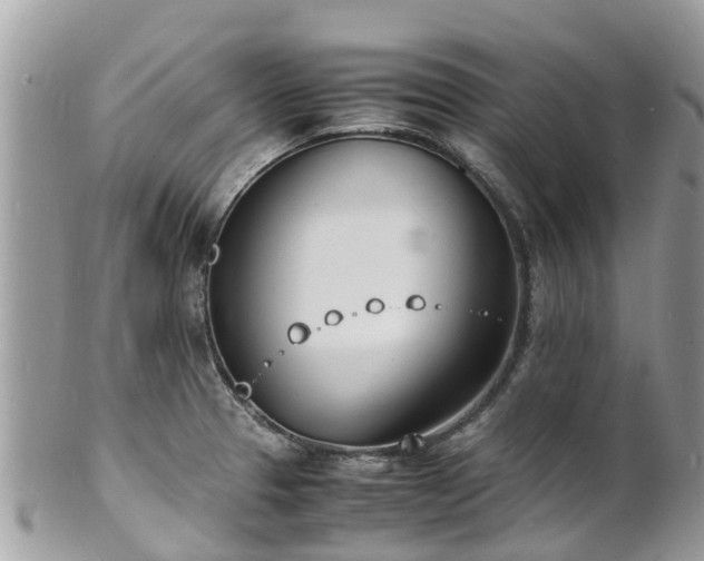 X0000100981329200807011434