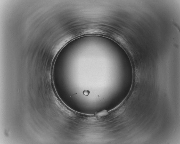 X0000100981330200807011434