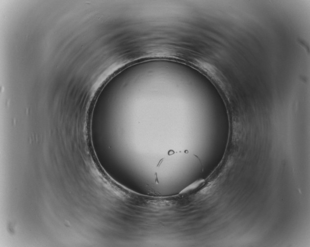 X0000100981331200807011434