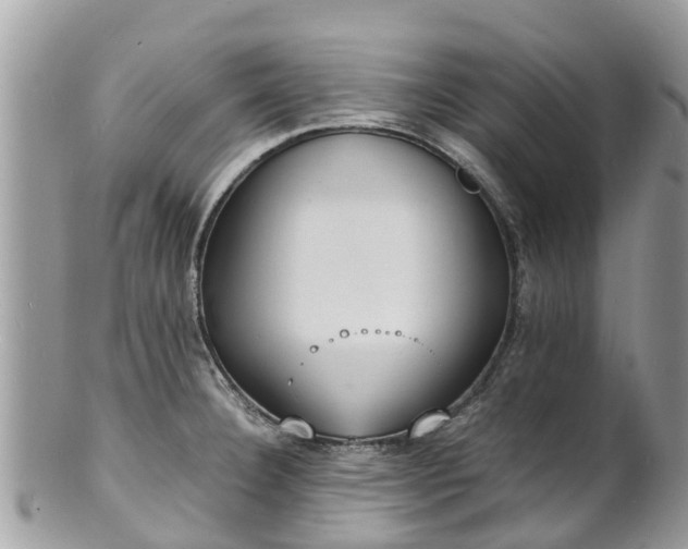 X0000100981332200807011434