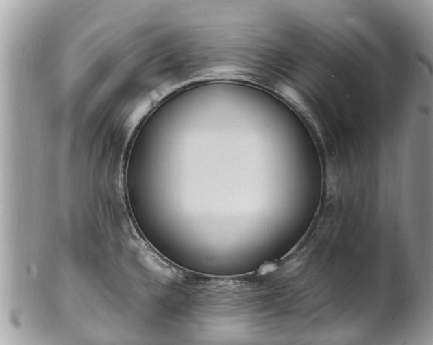 X0000100981336200807011435