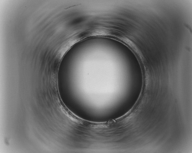 X0000100981337200807011435