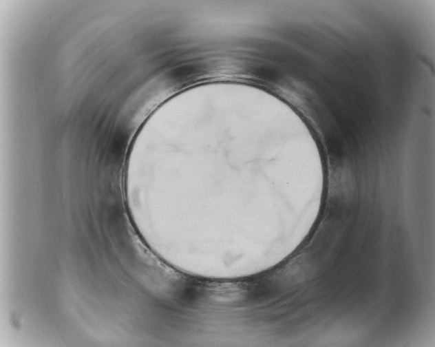 X0000100981338200807011435