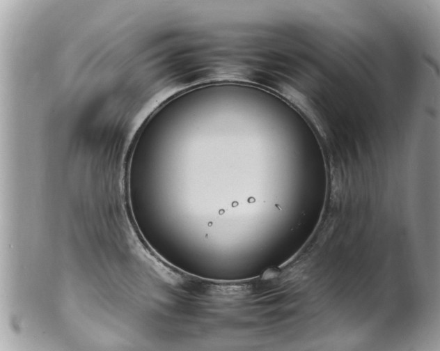 X0000100981339200807011435