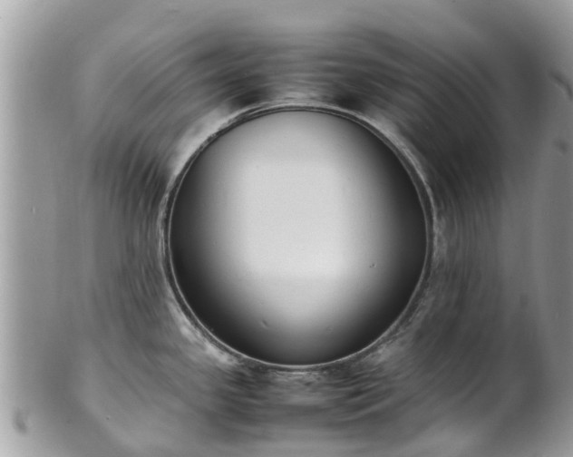 X0000100981341200807011435