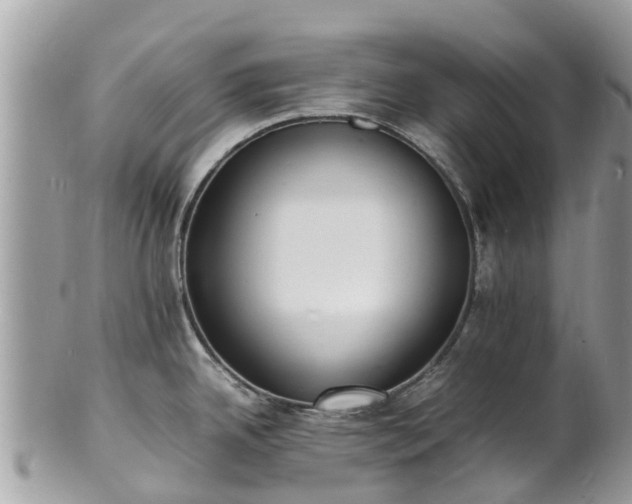 X0000100981342200807011435