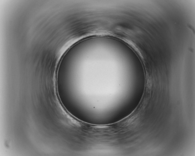 X0000100981343200807011435