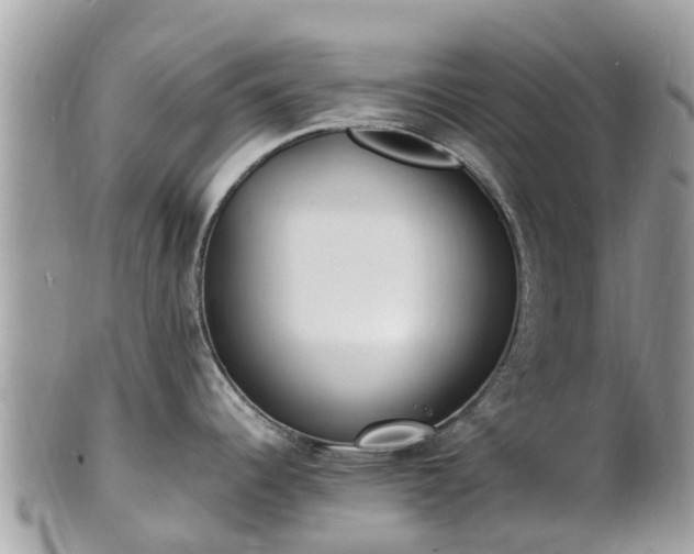 X0000100981344200807011435