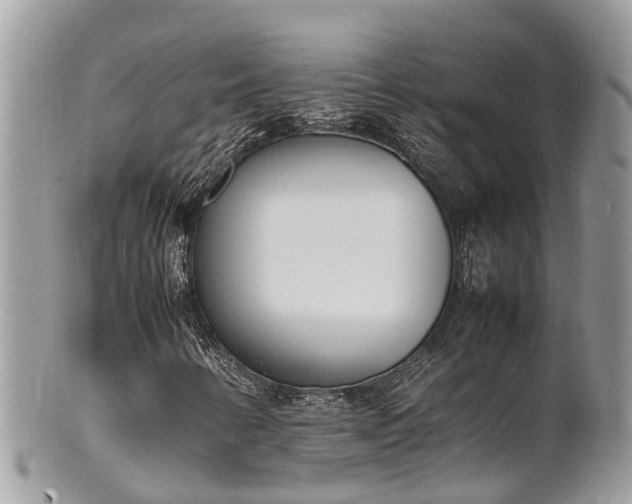 X0000100981346200807011434