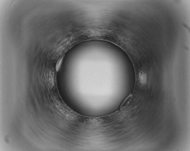 X0000100981348200807011434