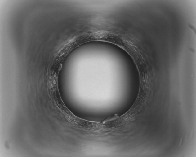 X0000100981349200807011434