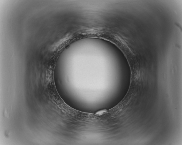 X0000100981350200807011434