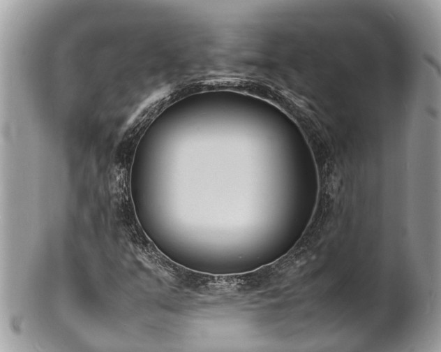 X0000100981351200807011434