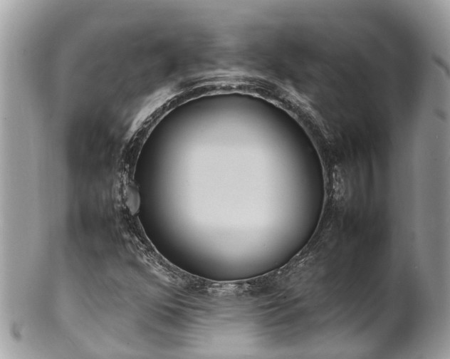 X0000100981352200807011434