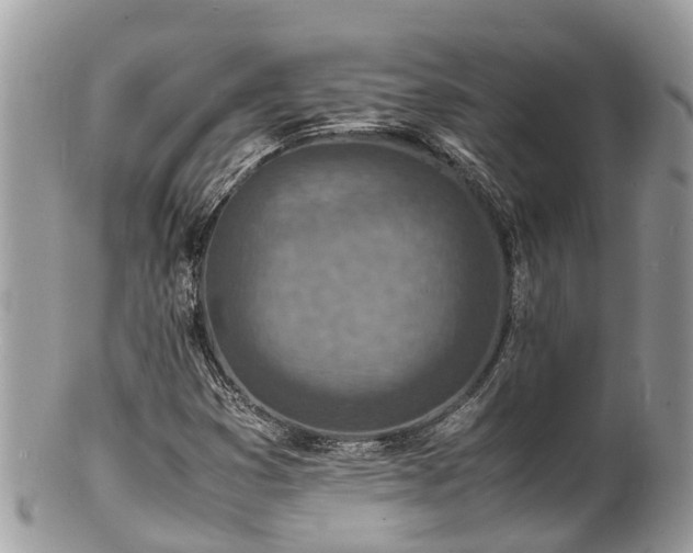 X0000100981353200807011434