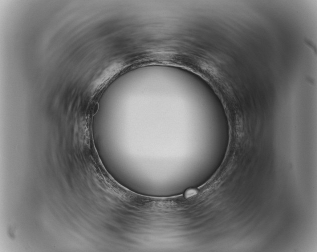 X0000100981354200807011434