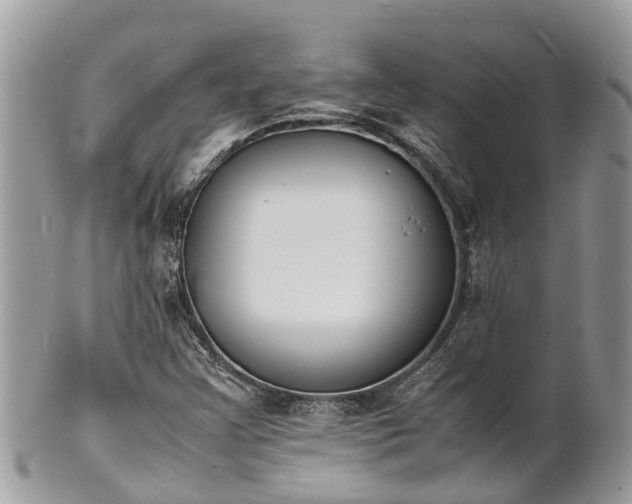 X0000100981355200807011434