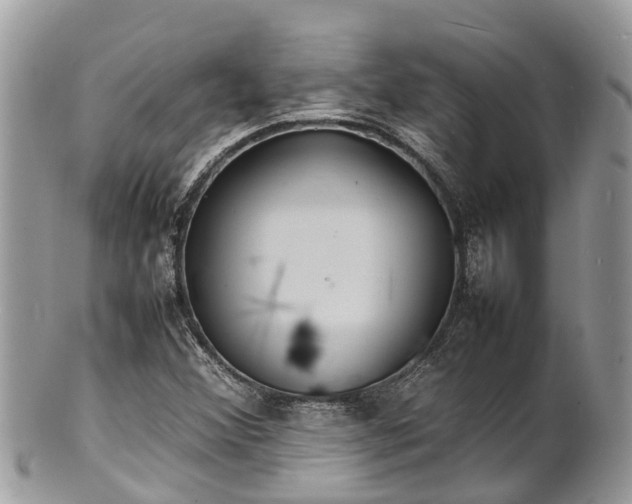 X0000100981356200807011434