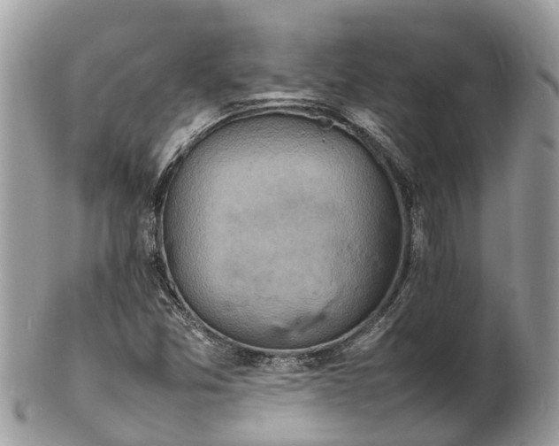 X0000100981357200807011434