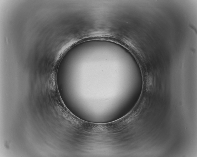 X0000100981358200807011434