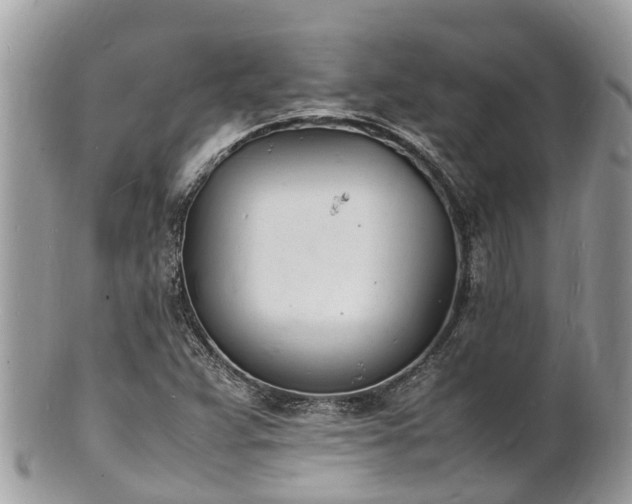 X0000100981359200807011434