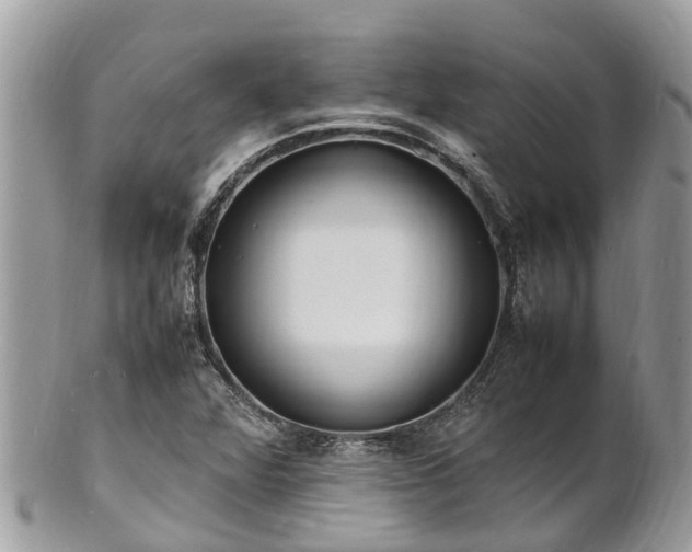 X0000100981360200807011434