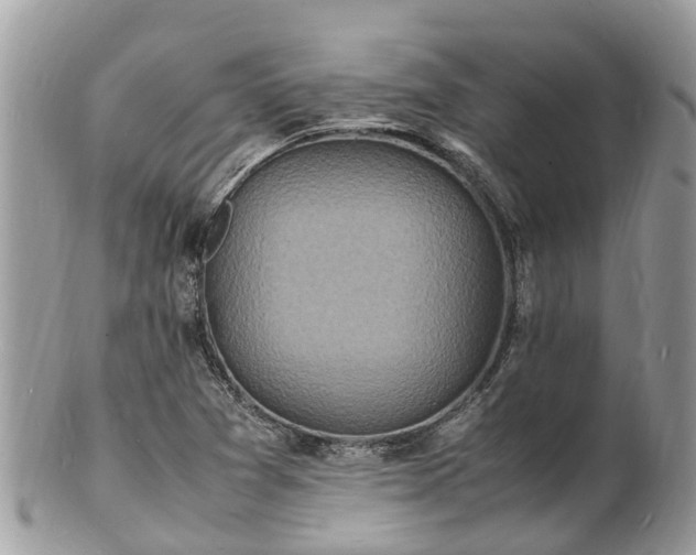 X0000100981361200807011434