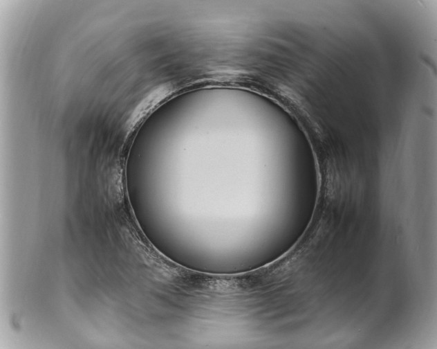 X0000100981362200807011434