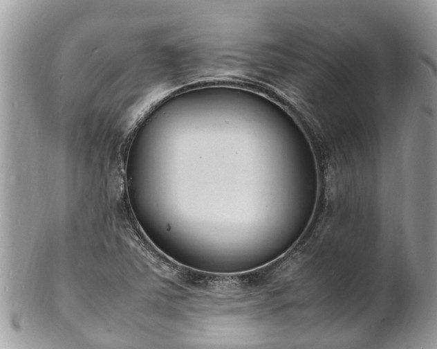 X0000100981363200807011434