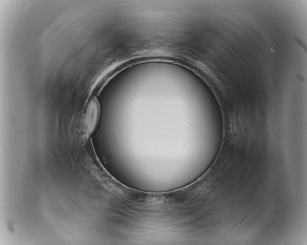 X0000100981364200807011434