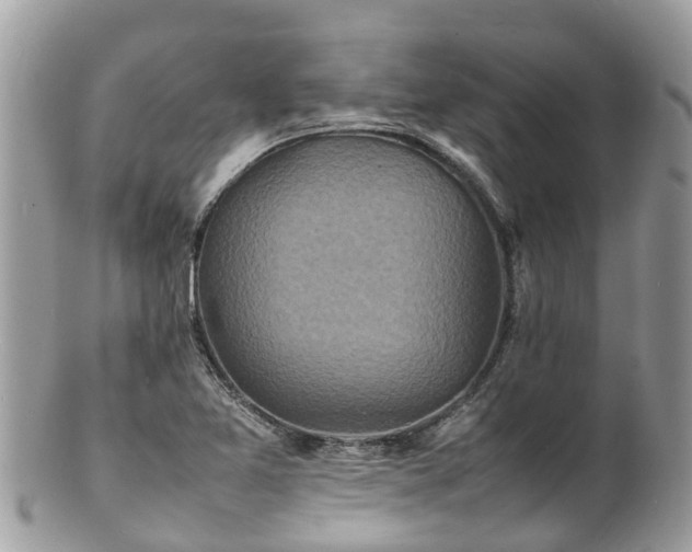 X0000100981365200807011434