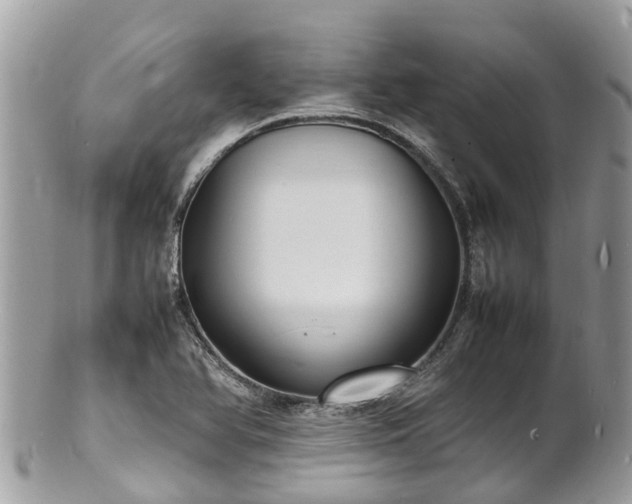 X0000100981366200807011434