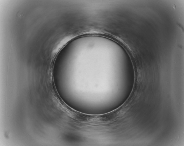 X0000100981367200807011434