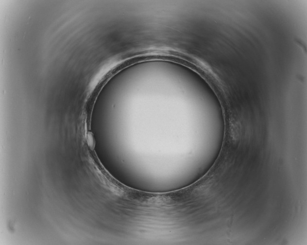 X0000100981368200807011434