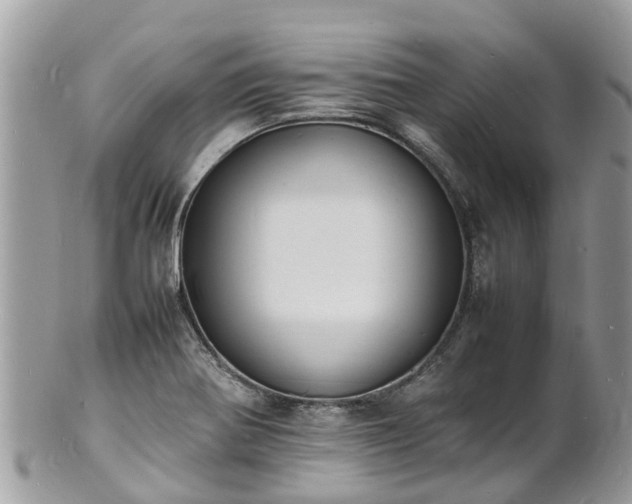 X0000100981370200807011434