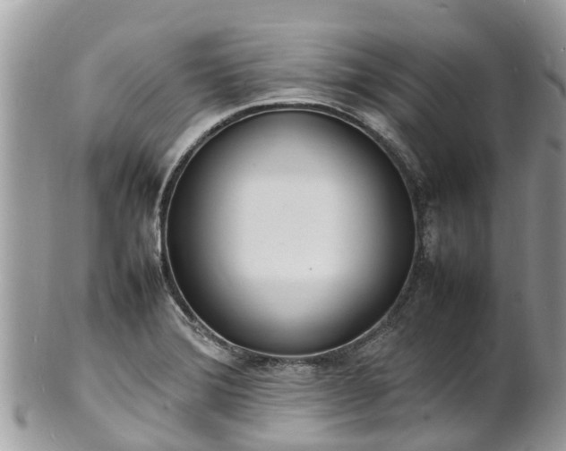 X0000100981372200807011434