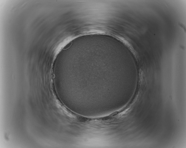 X0000100981373200807011434