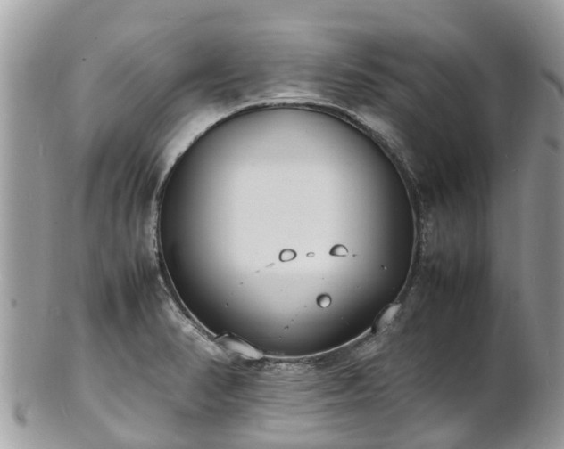 X0000100981374200807011434