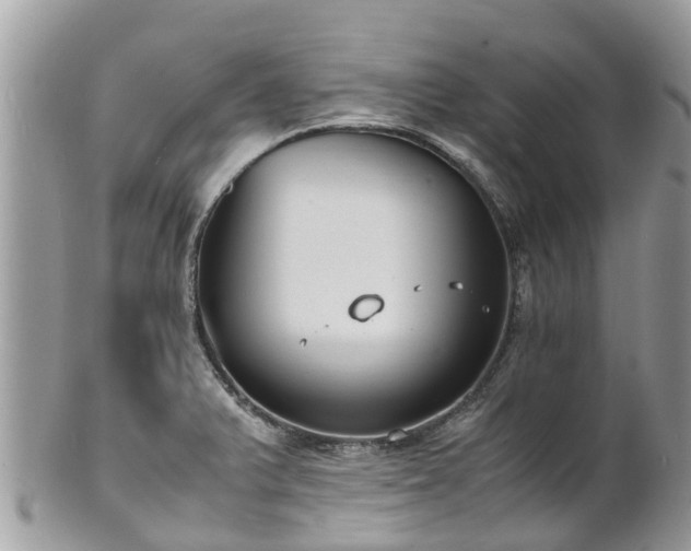 X0000100981375200807011434