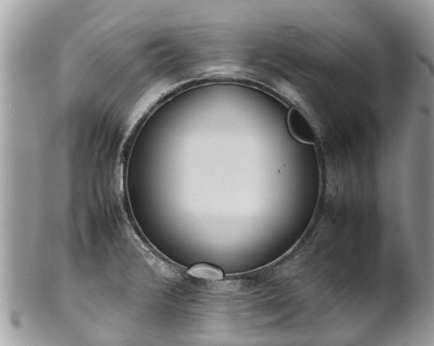 X0000100981376200807011434